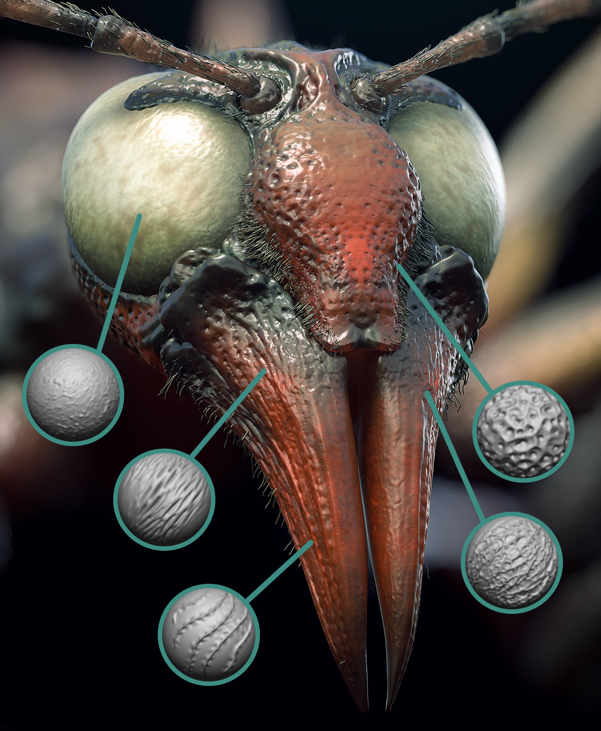 Insect Detailing Brushes for ZBrush