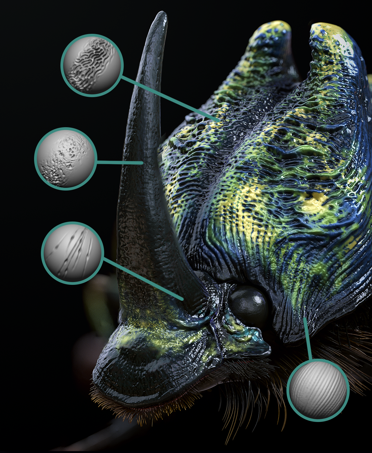 Insect Detailing Brushes for ZBrush